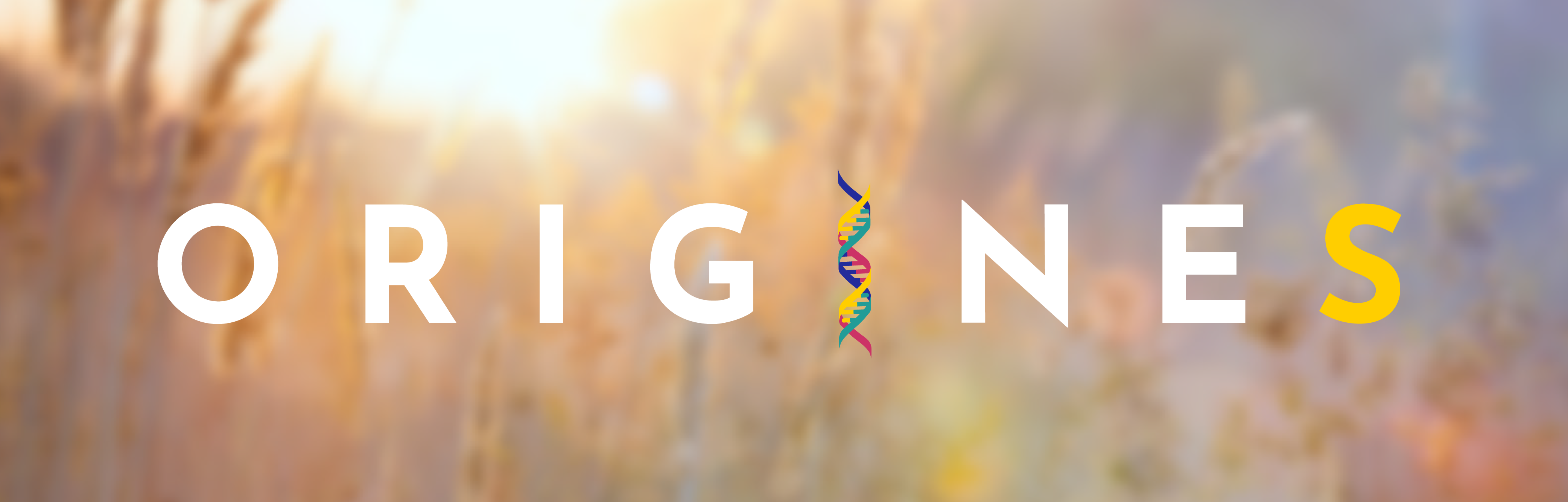 Origines
